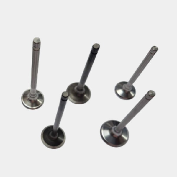 Automotive Engine Valves (Multi Model) (Intake & Exhaust)