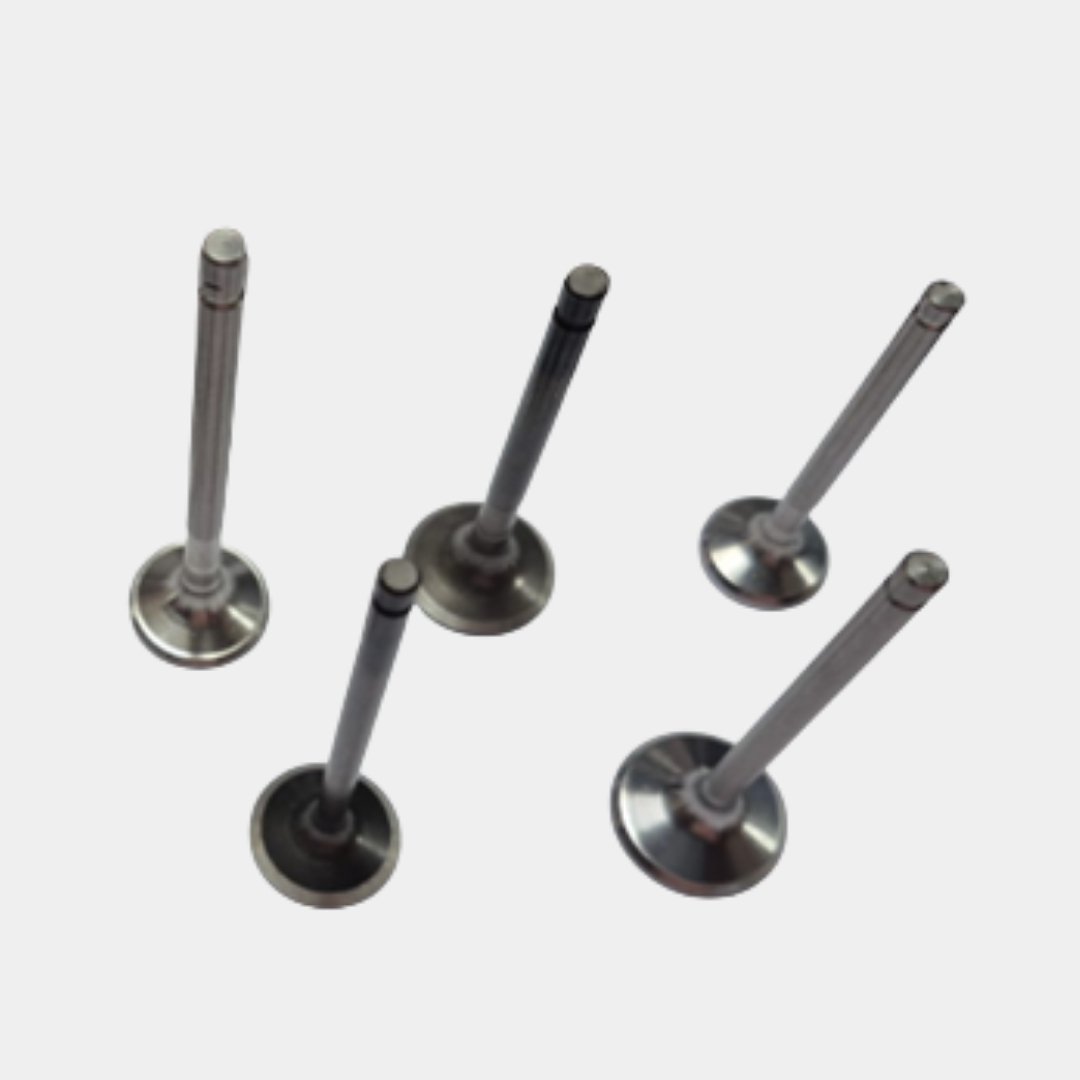 Automotive Engine Valves (Multi Model) (Intake & Exhaust)