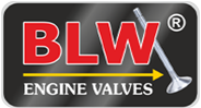 BLW Automotive Spare Parts Manufacturer and Exporter