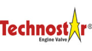 engine valve manufacturers in Bahadurgarh