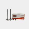 ENGINE VALVE KIT COMPACT BS4