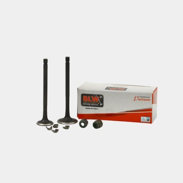 ENGINE VALVE KIT COMPACT BS4