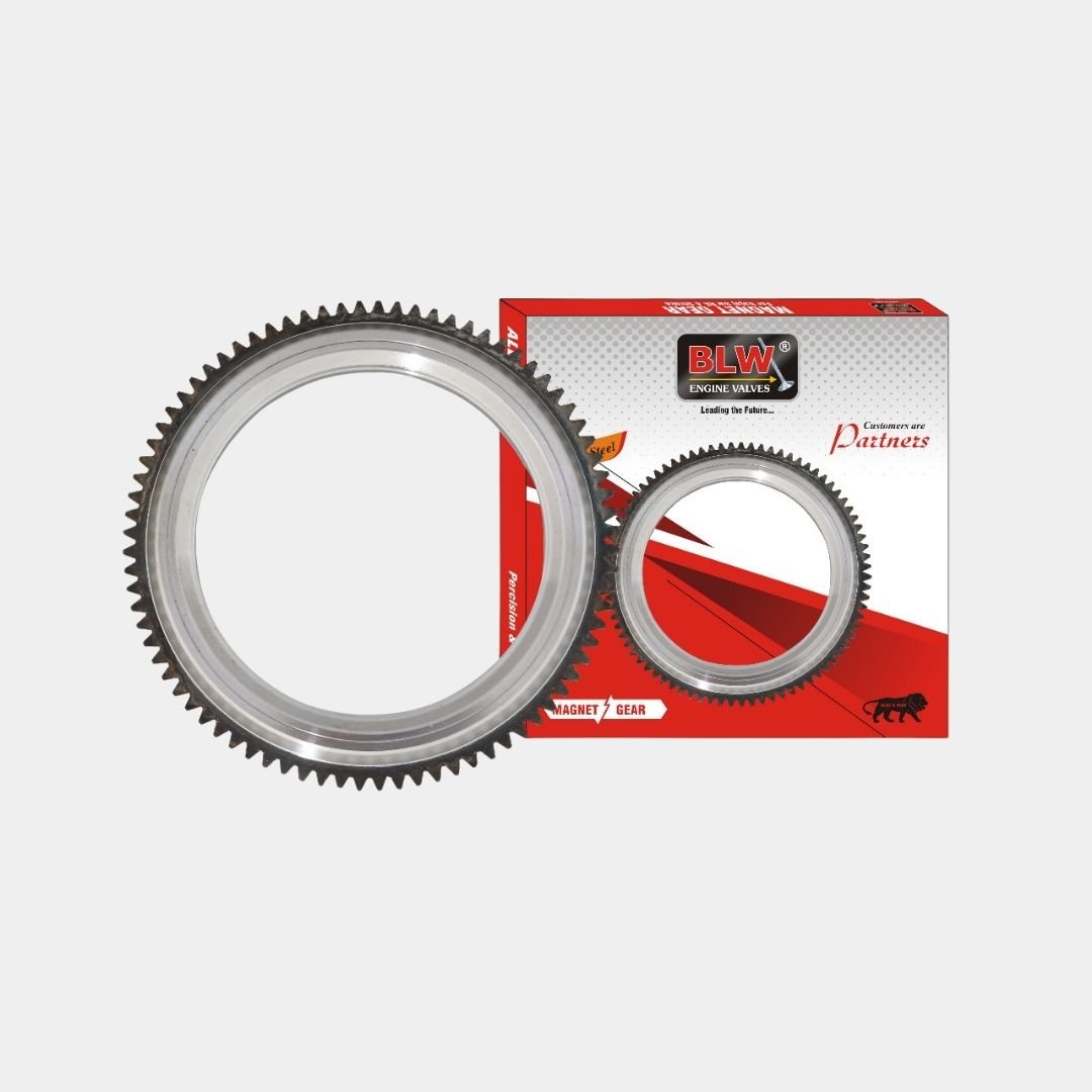 BLW MAGNET GEAR XXXXXX