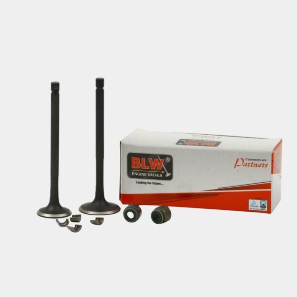 ENGINE VALVE KIT BM 150