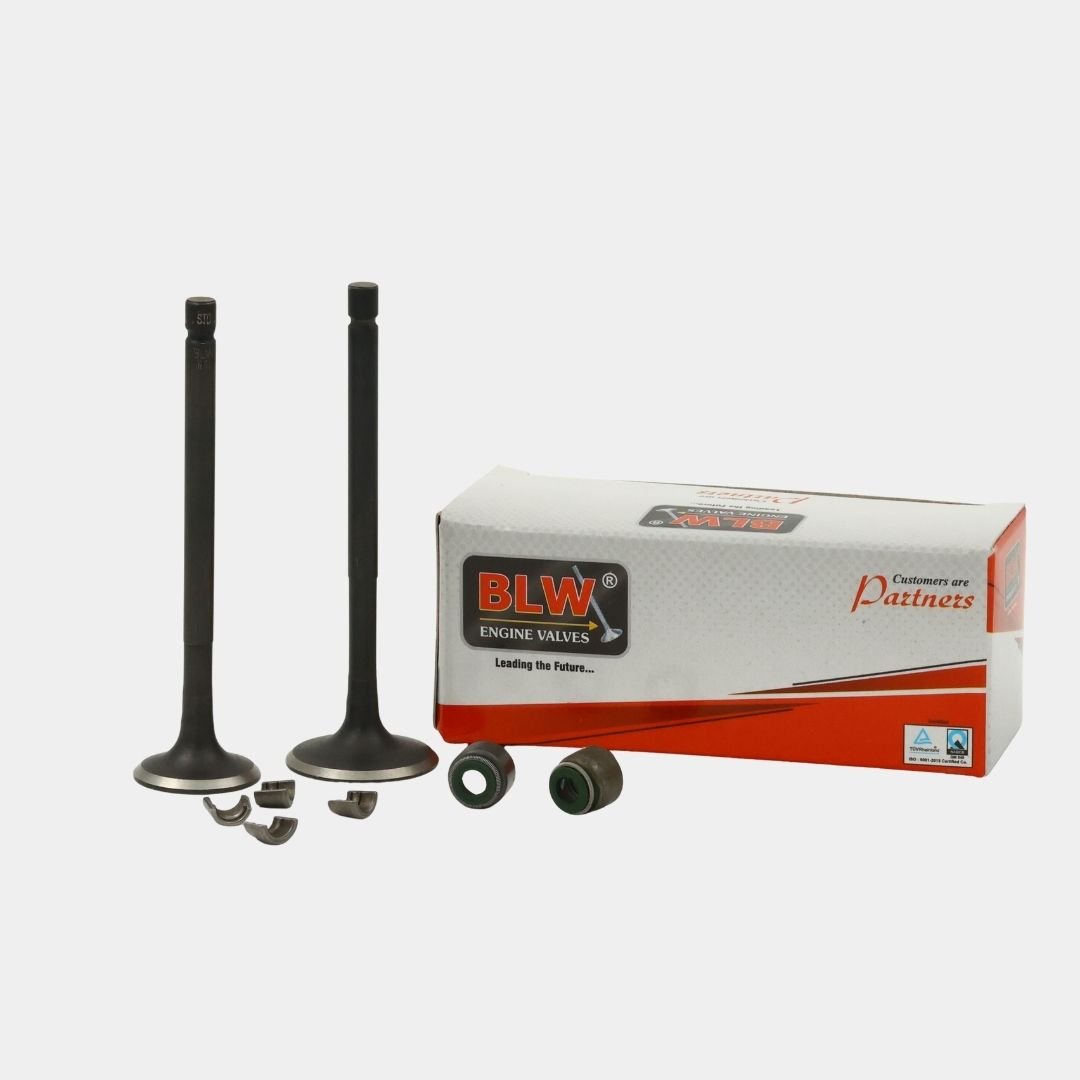 ENGINE VALVE KIT BM 150