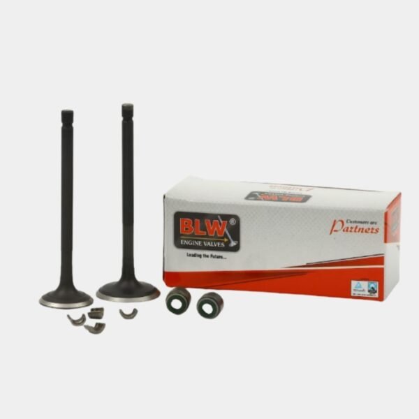 ENGINE VALVE KIT COMAPCT BS3