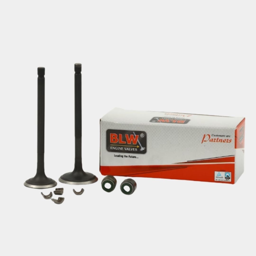 ENGINE VALVE KIT COMAPCT BS3
