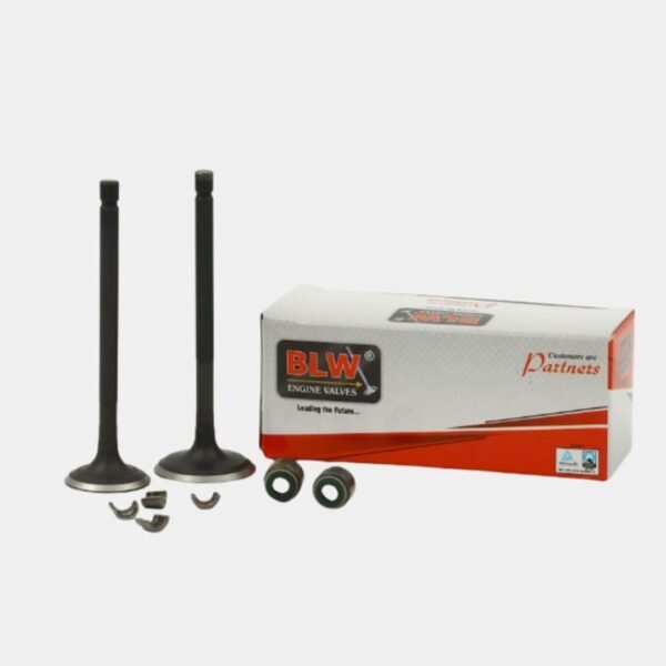 ENGINE VALVE KIT MAXIMA-Z