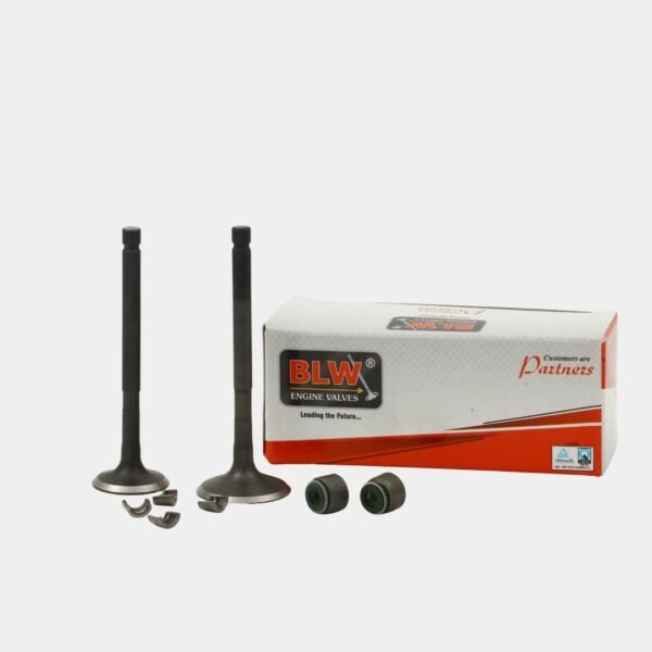 ENGINE VALVE KIT RE 205 CC